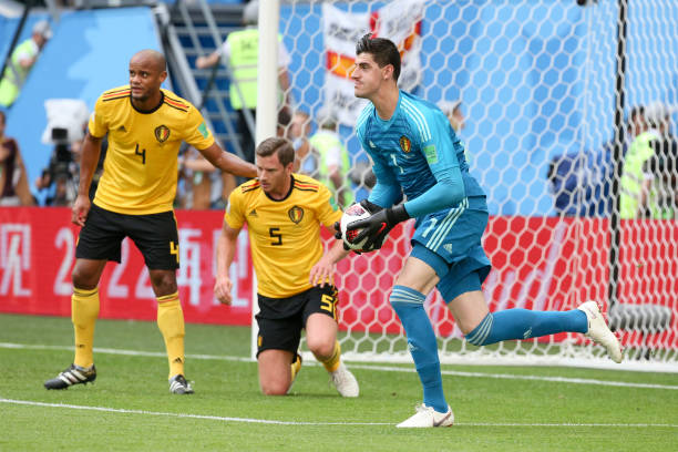 他们还着重 他们还着重