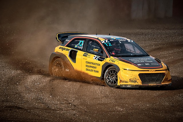 洲和北美进 洲和北美进